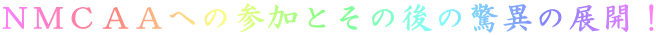 mlb``ւ̎QƂ̌̋ق̓WJI