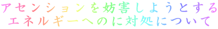 AZVWQ悤Ƃ GlM[ւ̂ɑΏɂ
